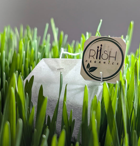 The Ritual (Monthly Pack – 28 sachets)